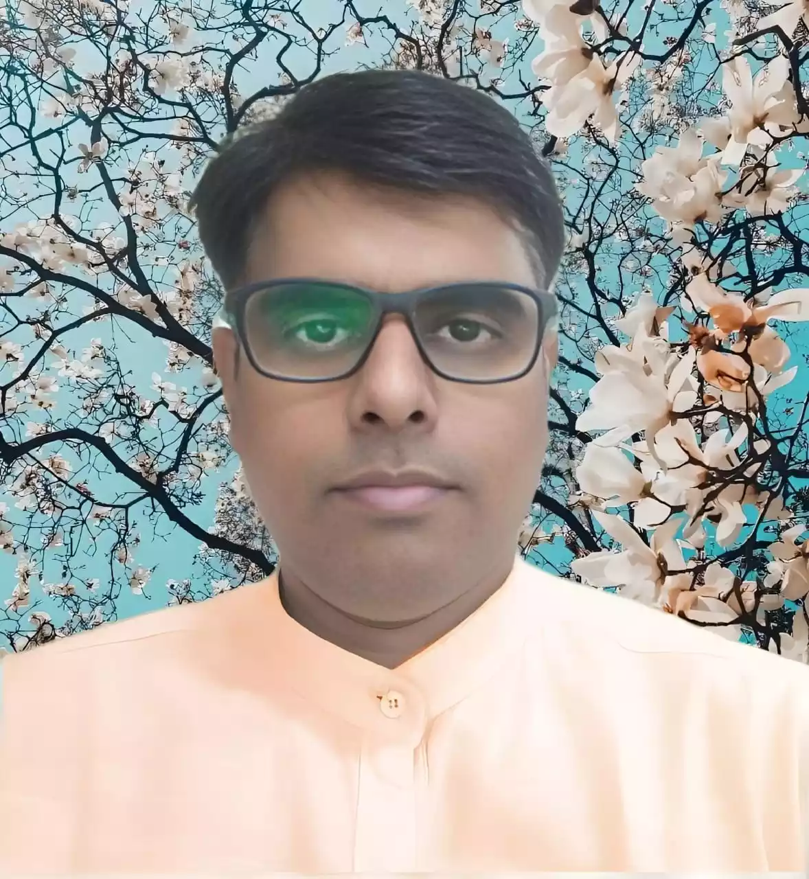Arijit Kumar Ray